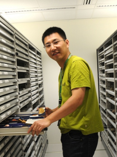 百博买球创新论坛第一千八百零一讲：虫鸣凤舞伴花香：现代陆地生态系统的起源