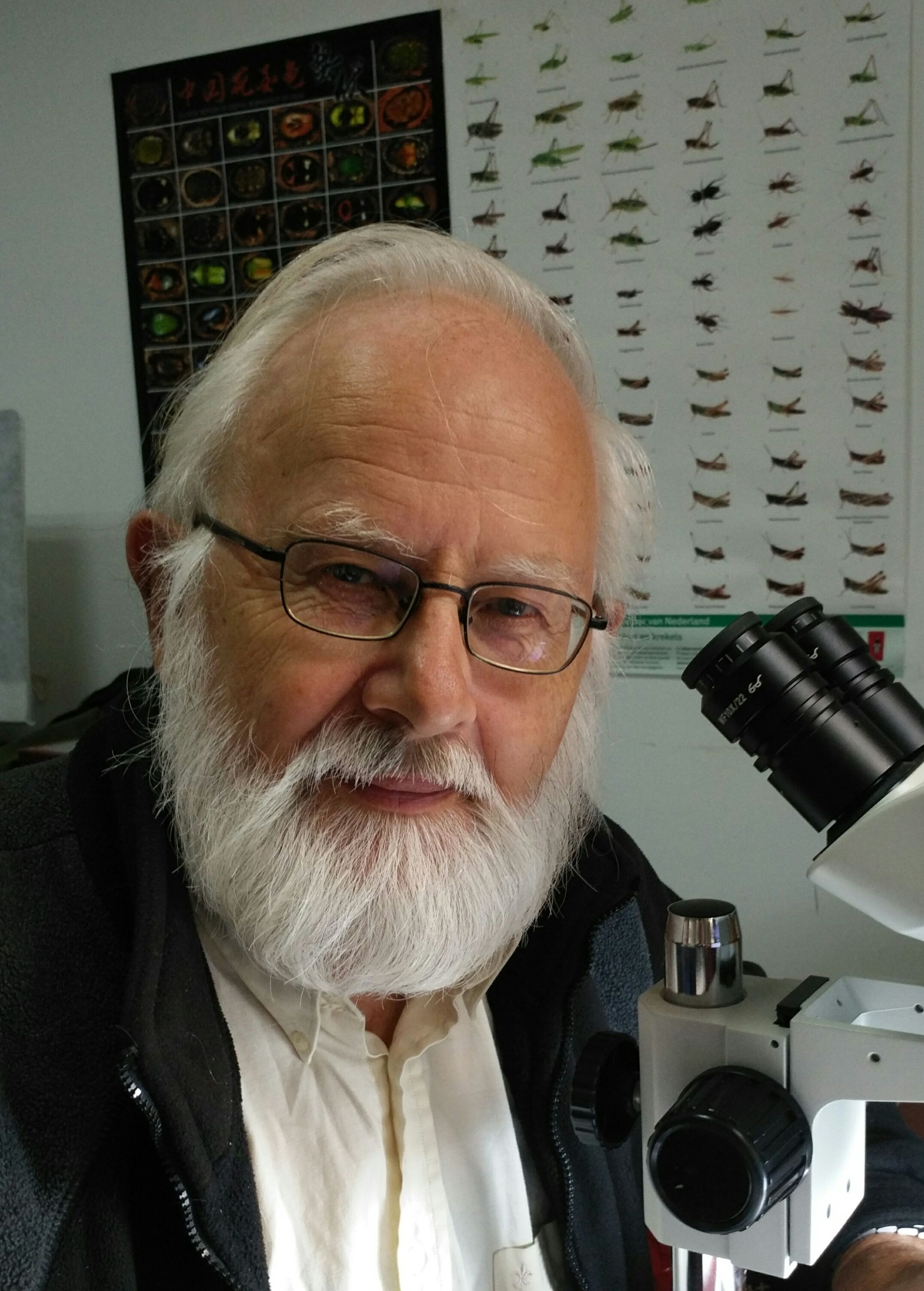 百博买球创新论坛第八百零九讲暨校庆117周年学术讲座：Parasite rex: the unknown diversity of parasitoid wasps