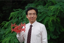 百博买球创新论坛第一千二百七十三讲暨120周年校庆年系列活动： Unexpected slow diffusion in hierarchical porous materials with combined surface and configurational diffusion   