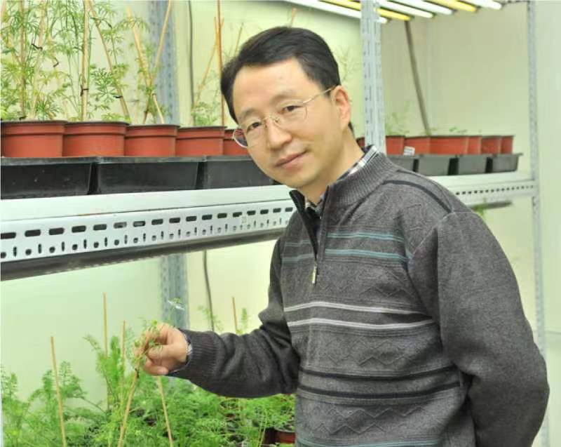 百博买球创新论坛第一千二百六十八讲暨120周年校庆年系列活动：复杂花瓣的发育与进化