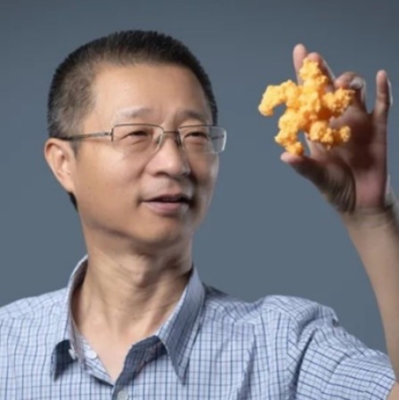 百博买球创新论坛第一千六百二十六讲：植物的免疫机制
